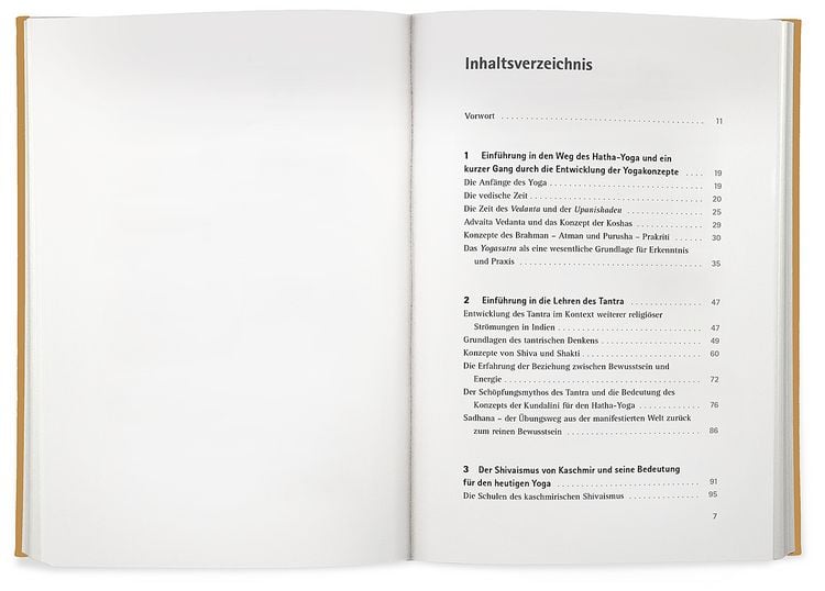 Produktbild: Yoga der Energie