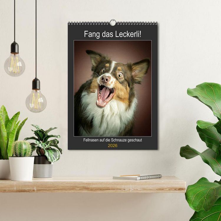 Produktbild: Fang das Leckerli (Wandkalender 2026 DIN A3 hoch), CALVENDO Monatskalender