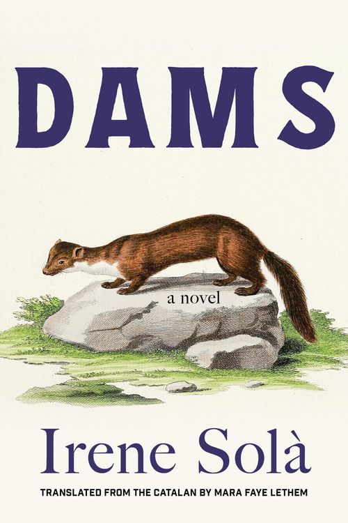Produktbild: Dams