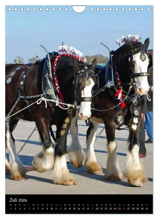Produktbild: Shire Horse - Geschm&uuml;ckte Riesen (Wandkalender 2026 DIN A4 hoch), CALVENDO Monatskalender