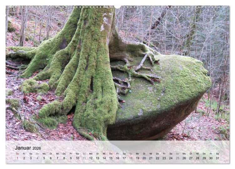 Produktbild: Bretagne - Wildnis Finist&egrave;re (hochwertiger Premium Wandkalender 2026 DIN A2 quer), Kunstdruck in Hochglanz