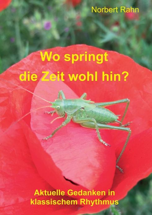 Produktbild: Wo springt die Zeit wohl hin?