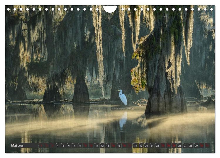 Produktbild: Natur Paradies Mississippi Delta (Wandkalender 2026 DIN A4 quer), CALVENDO Monatskalender
