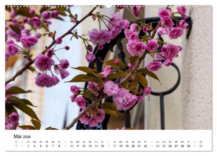 Produktbild: Bonn - Kirschbl&uuml;tenfest in der Altstadt (hochwertiger Premium Wandkalender 2026 DIN A2 quer), Kunstdruck in Hochglanz