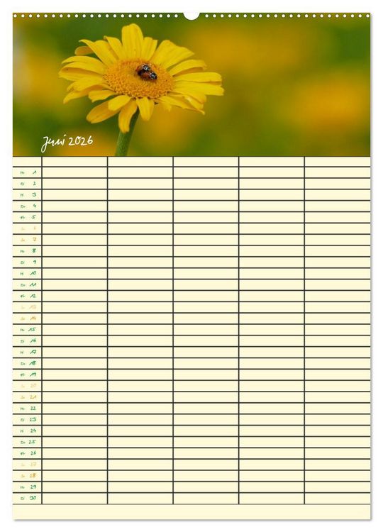 Produktbild: Kleine Natursch&ouml;nheiten (hochwertiger Premium Wandkalender 2026 DIN A2 hoch), Kunstdruck in Hochglanz