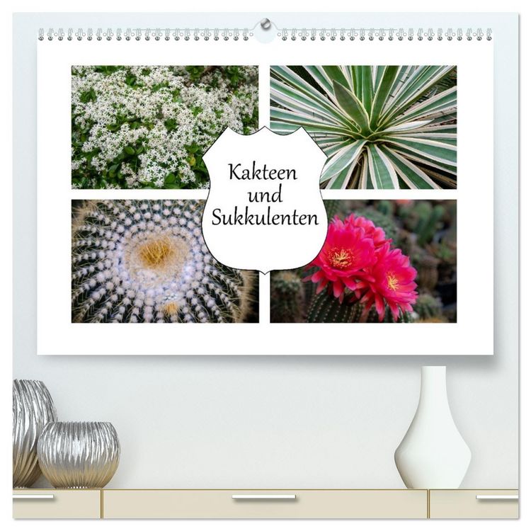 Produktbild: Kakteen und Sukkulenten (hochwertiger Premium Wandkalender 2026 DIN A2 quer), Kunstdruck in Hochglanz