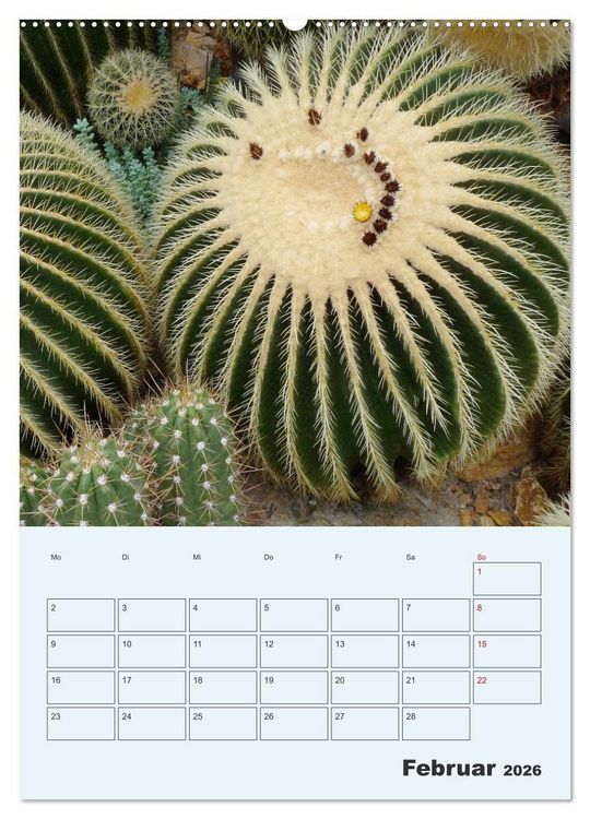 Produktbild: Wehrhafte Sukkulenten (Wandkalender 2026 DIN A2 hoch), CALVENDO Monatskalender