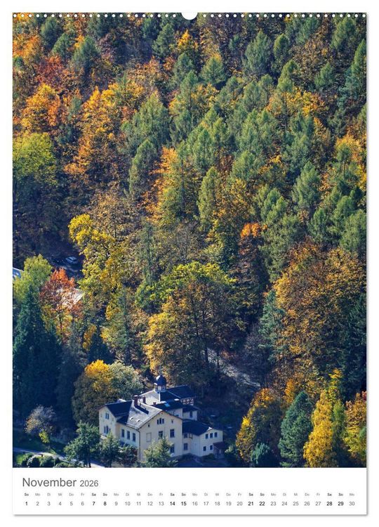 Produktbild: Wald - bezaubernde Landschaften (Wandkalender 2026 DIN A2 hoch), CALVENDO Monatskalender