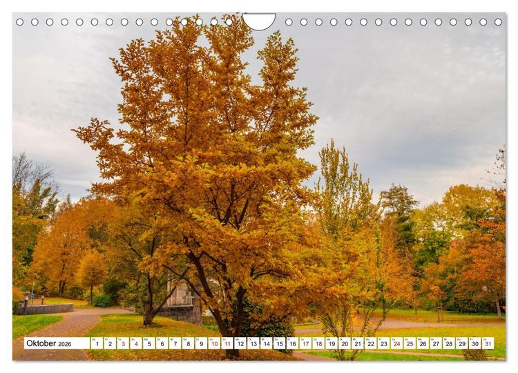 Produktbild: Heilbad Heiligenstadt Stadtansichten (Wandkalender 2026 DIN A4 quer), CALVENDO Monatskalender