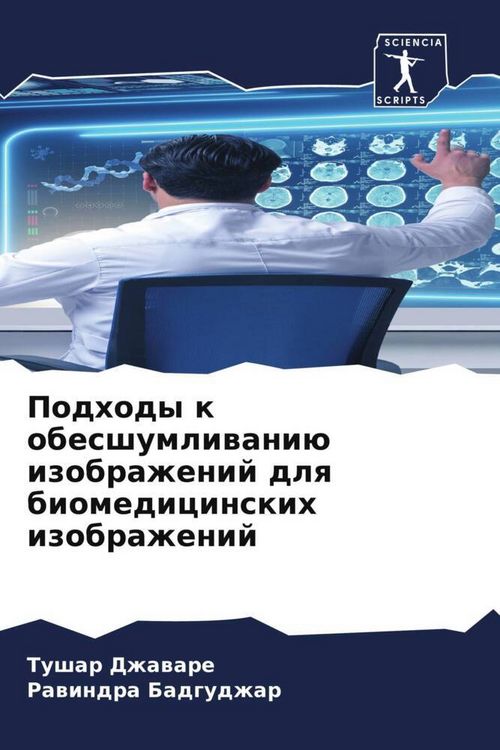 Produktbild: Podhody k obesshumliwani&uuml; izobrazhenij dlq biomedicinskih izobrazhenij