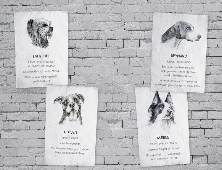 Produktbild: Buddy &ndash; Mein Leben als Stra&szlig;enhund