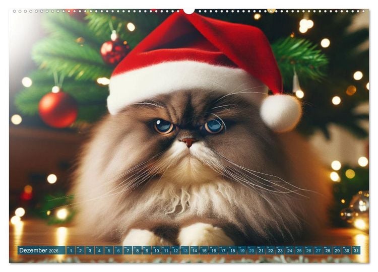 Produktbild: Katzenlaunen - Durch das Jahr mit Fluff und Grummeln (hochwertiger Premium Wandkalender 2026 DIN A2 quer), Kunstdruck in Hochglanz