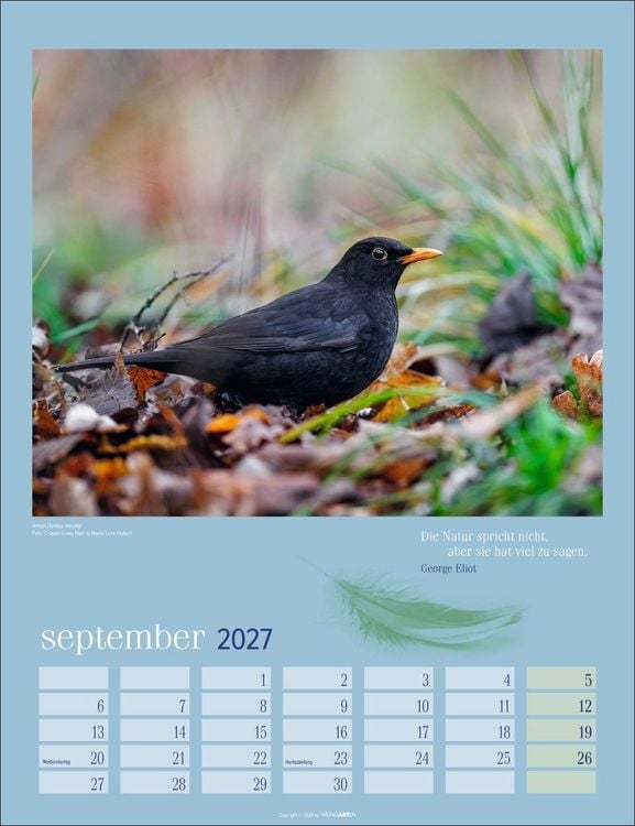 Produktbild: Heimische V&ouml;gel Kalender 2027