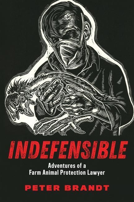 Produktbild: Indefensible