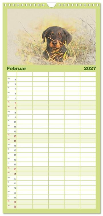 Produktbild: Familienplaner 2027 - Hundewelpen 2027 mit 5 Spalten (Wandkalender, 21 x 45 cm) CALVENDO