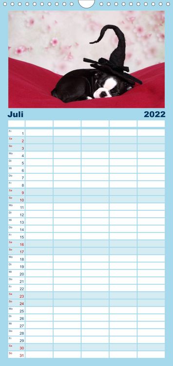 Produktbild: Familienplaner S&uuml;&szlig;e Tr&auml;ume 2022 - schlafende Hundewelpen (Wandkalender 2022 , 21 cm x 45 cm, hoch)
