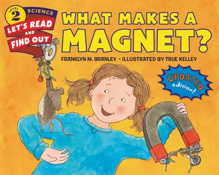 Produktbild: What Makes a Magnet?