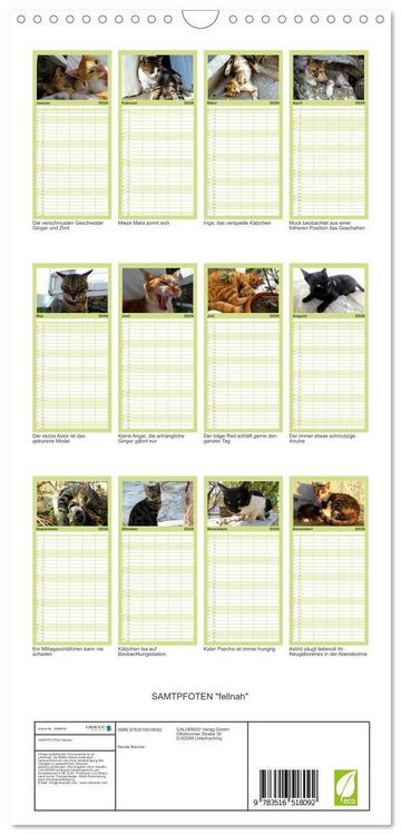 Produktbild: Familienplaner 2026 - SAMTPFOTEN "fellnah" mit 5 Spalten (Wandkalender, 21 x 45 cm) CALVENDO