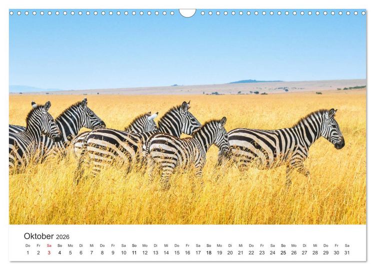 Produktbild: Safari durch Afrika (Wandkalender 2026 DIN A3 quer), CALVENDO Monatskalender