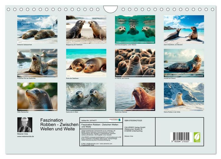 Produktbild: Faszination Robben - Zwischen Wellen und Weite (Wandkalender 2027 DIN A4 quer), CALVENDO Monatskalender