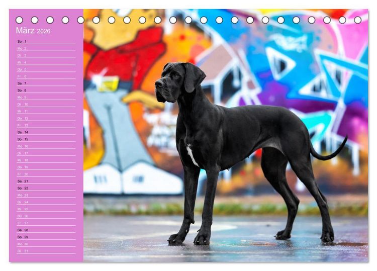 Produktbild: Hunde im Fokus (Tischkalender 2026 DIN A5 quer), CALVENDO Monatskalender