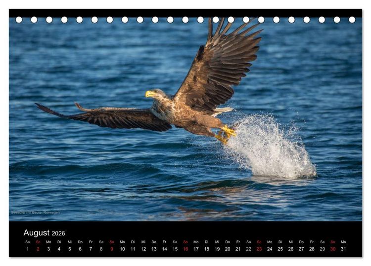 Produktbild: Naturwucht Skandinavien (Tischkalender 2026 DIN A5 quer), CALVENDO Monatskalender