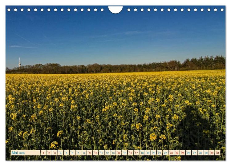 Produktbild: Cuxhaven, Landschaften zwischen K&uuml;ste und Heide (Wandkalender 2026 DIN A4 quer), CALVENDO Monatskalender