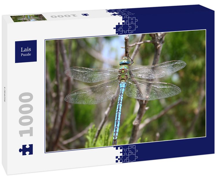 Produktbild: Lais Puzzle Libelle 1000 Teile