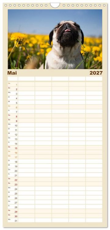 Produktbild: Familienplaner 2027 - Mops mit 5 Spalten (Wandkalender, 21 x 45 cm) CALVENDO