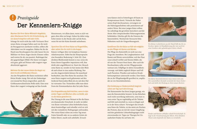 Produktbild: Praxishandbuch Katzen