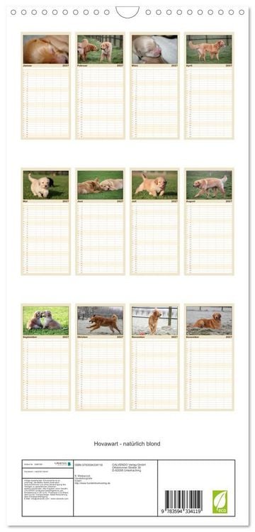 Produktbild: Familienplaner 2027 - Hovawart - nat&uuml;rlich blond mit 5 Spalten (Wandkalender, 21 x 45 cm) CALVENDO