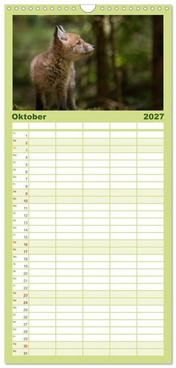 Produktbild: Familienplaner 2027 - Bei den Jungf&uuml;chsen mit 5 Spalten (Wandkalender, 21 x 45 cm) CALVENDO