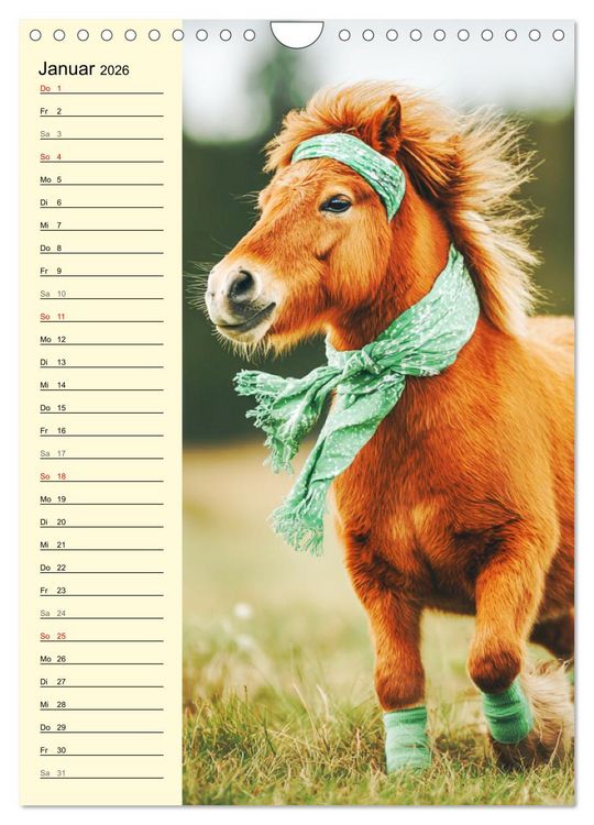 Produktbild: Zauber der Ponys. Kleine Pferde in der Natur (Wandkalender 2026 DIN A4 hoch), CALVENDO Monatskalender