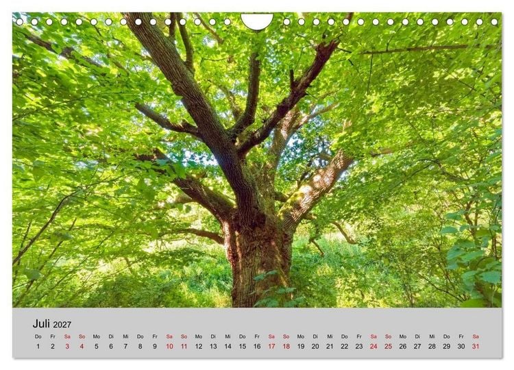 Produktbild: Biosph&auml;renreservat Schaalsee (Wandkalender 2027 DIN A4 quer), CALVENDO Monatskalender
