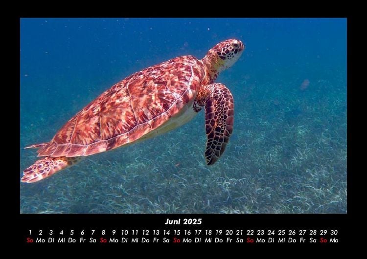 Produktbild: Karibik 2025 Fotokalender DIN A3