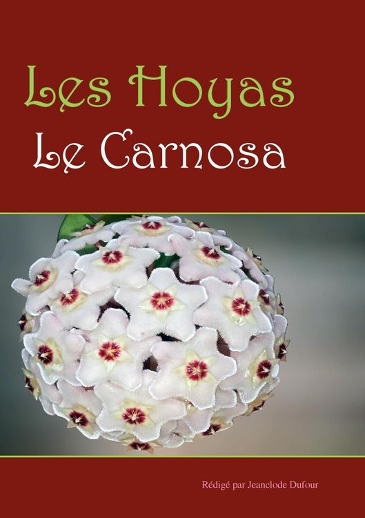 Produktbild: Les hoyas