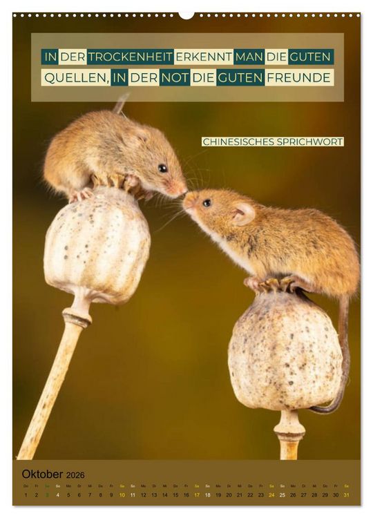 Produktbild: Freundschaft Weisheiten und Zitate (Wandkalender 2026 DIN A2 hoch), CALVENDO Monatskalender