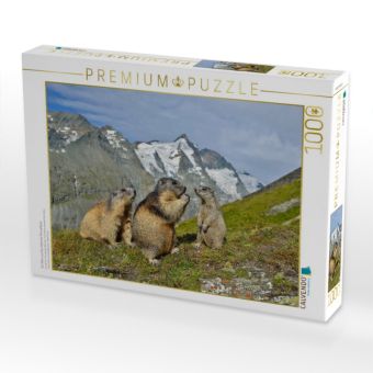 Produktbild: Ein Motiv aus dem Kalender Murmeltiere (Puzzle)