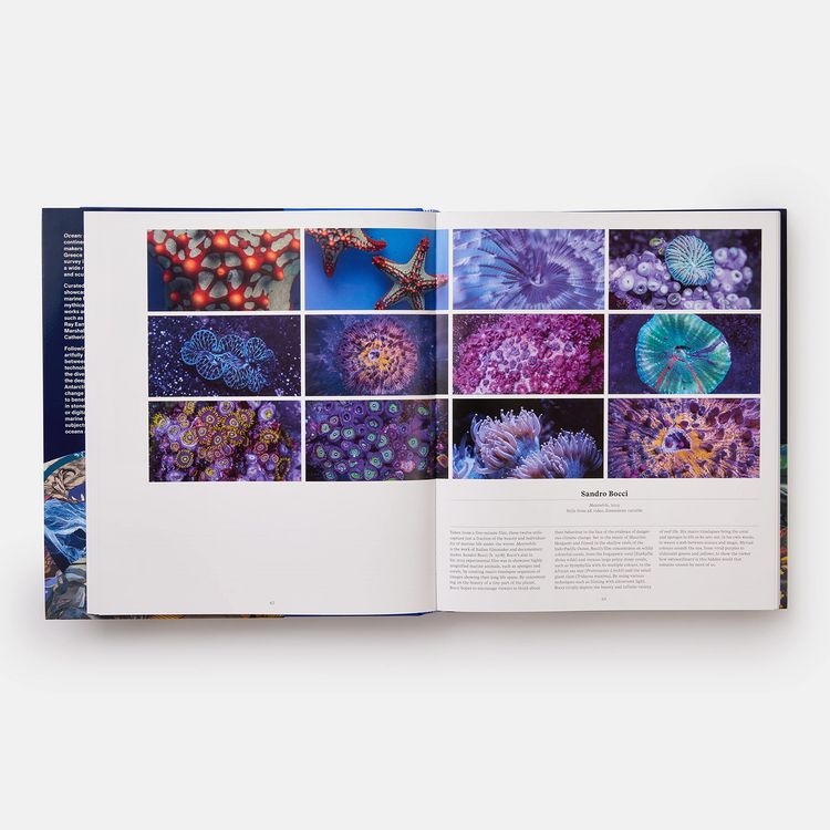 Produktbild: Ocean, Exploring the Marine World