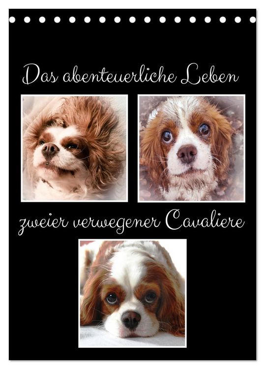 Produktbild: Das abenteuerliche Leben zweier verwegener Cavaliere (Tischkalender 2026 DIN A5 hoch), CALVENDO Monatskalender