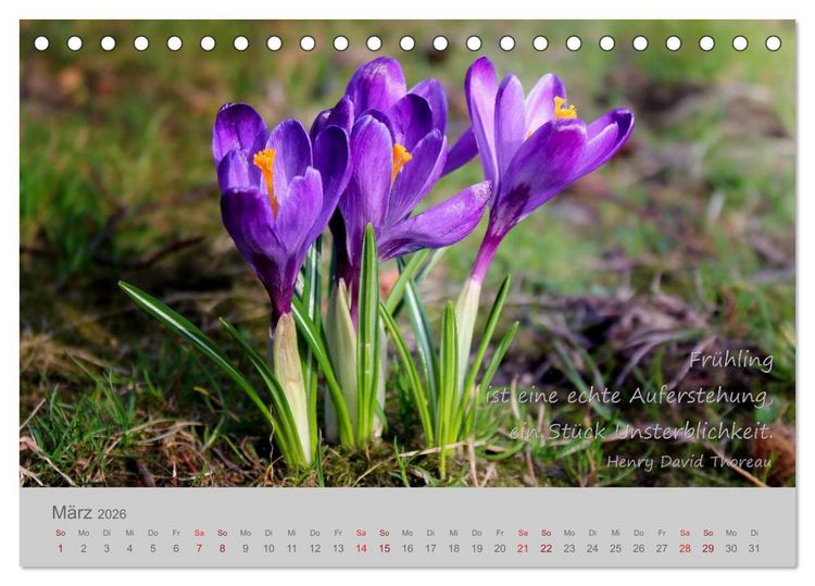 Produktbild: Jahres-Zeiten (Tischkalender 2026 DIN A5 quer), CALVENDO Monatskalender