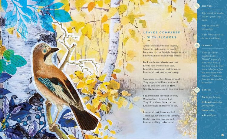 Produktbild: The Illustrated Robert Frost