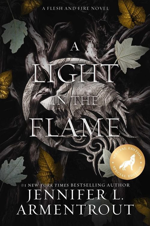 Produktbild: A Light in the Flame Special Edition