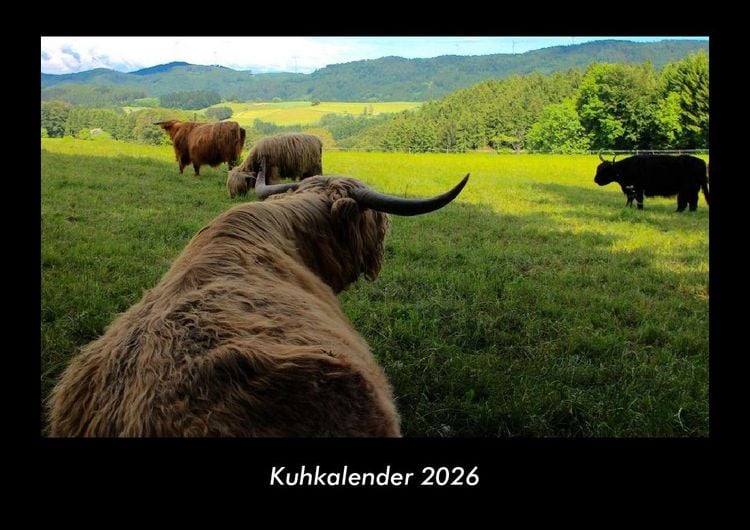 Produktbild: Kuhkalender 2026 Fotokalender DIN A3