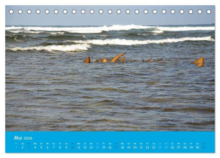 Produktbild: Cabo verde Inselgefl&uuml;ster - Ilha do Sal (Tischkalender 2026 DIN A5 quer), CALVENDO Monatskalender