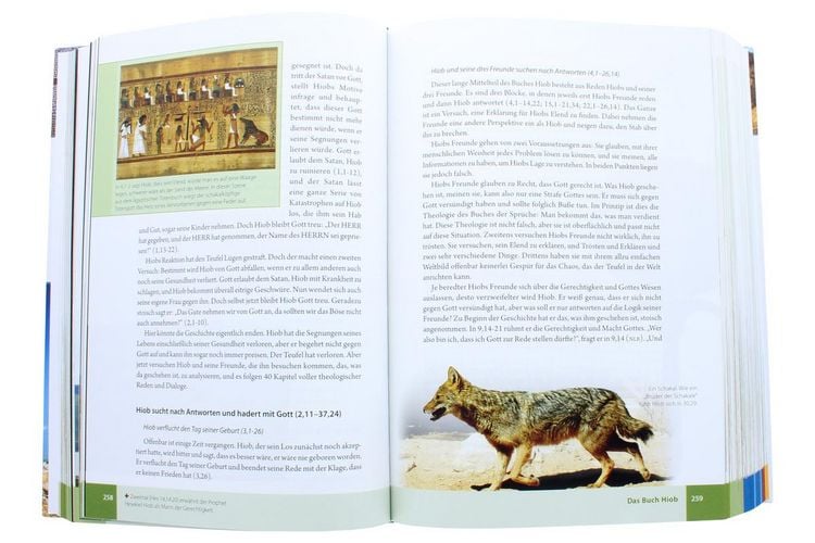 Produktbild: Das illustrierte Handbuch zur Bibel