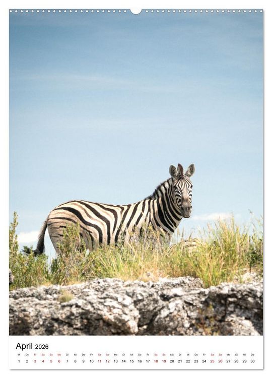 Produktbild: Naturparadies Namibia (hochwertiger Premium Wandkalender 2026 DIN A2 hoch), Kunstdruck in Hochglanz