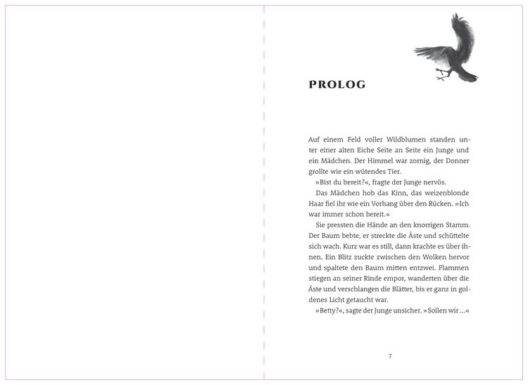 Produktbild: Sturmw&auml;chter 1. Das Geheimnis von Arranmore