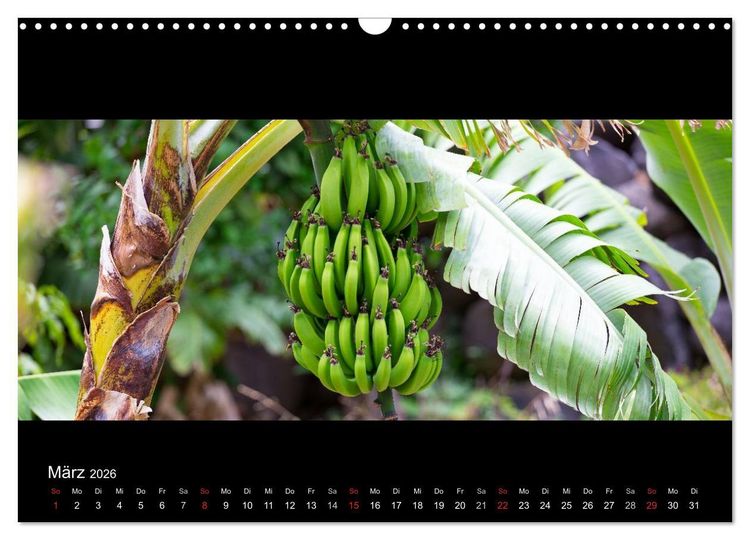 Produktbild: La Gomera - Kanarisches Naturparadies (Wandkalender 2026 DIN A3 quer), CALVENDO Monatskalender