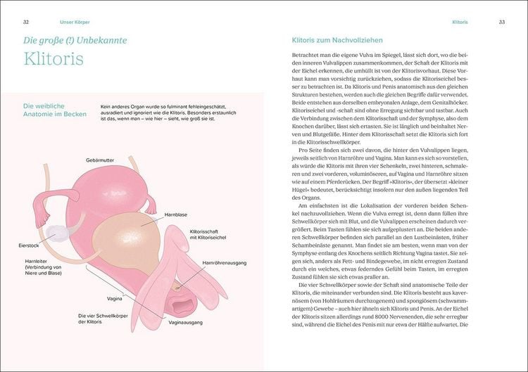 Produktbild: Das gro&szlig;e Gynbuch